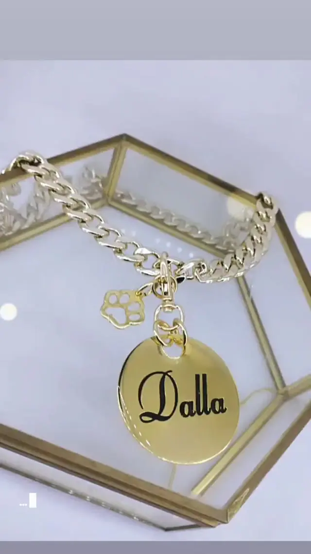 Chains and pet tags